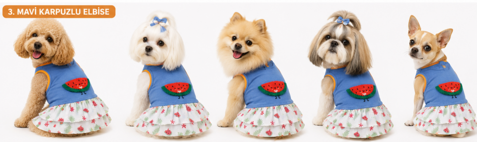 Köpek ve kedi kıyafetleri - mavi karpuzlu elbise