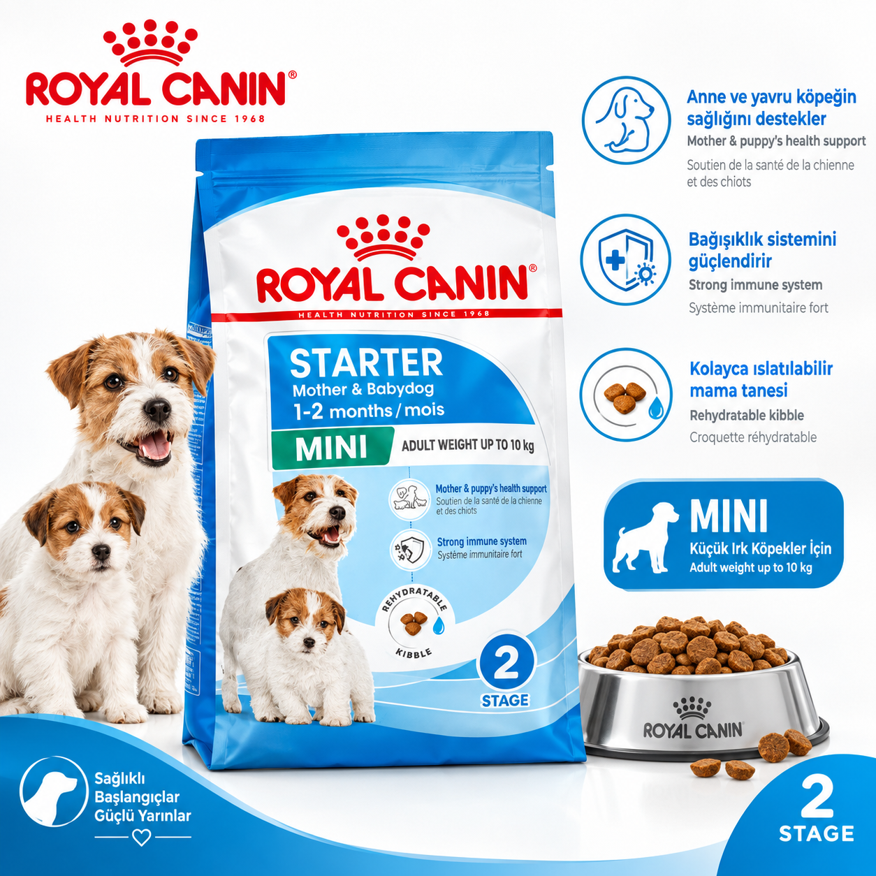 Royal Canin Mini Starter Mother & Babydog Anne ve Yavru Köpek Maması 4kg